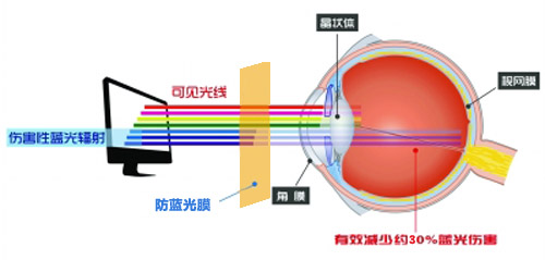 麻豆APP视频下载最新科技成果 麻豆视频APP下载网站成護眼利器